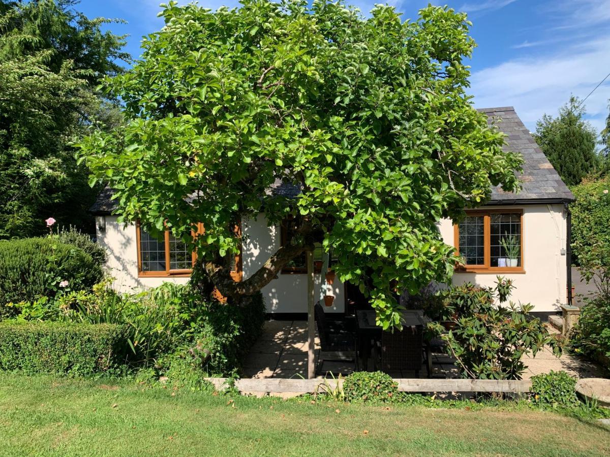 Newton Farmhouse Whiteparish Exterior foto